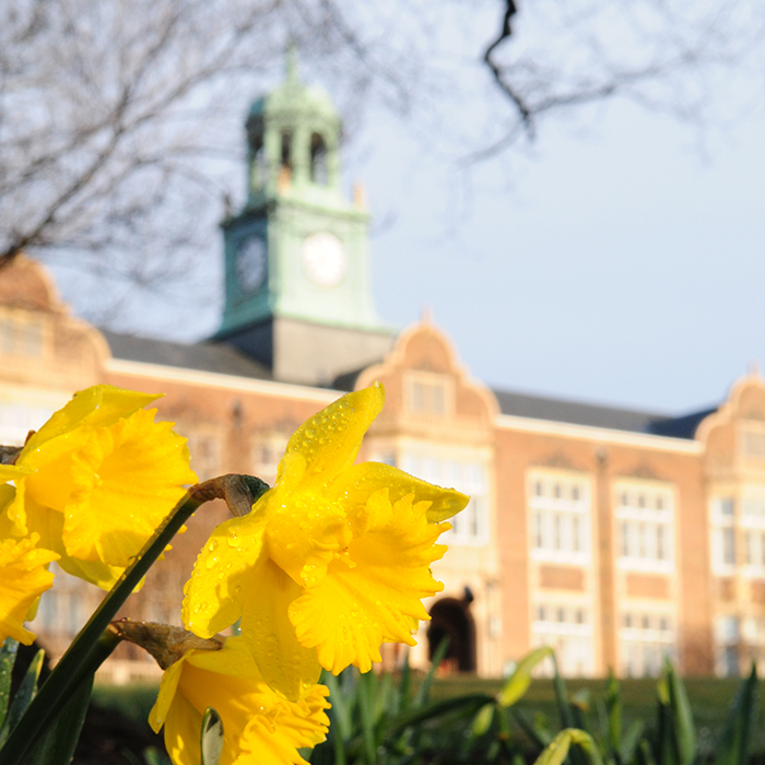 Flowers in front of Stephens