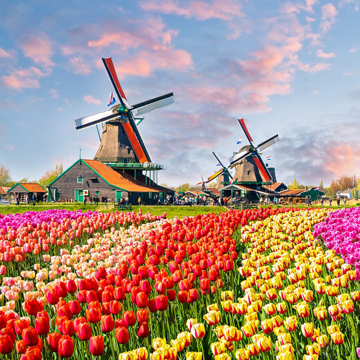 The Netherlands