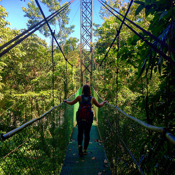 Costa Rican rainforest