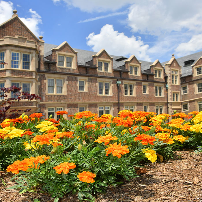 Flowers in front of school building