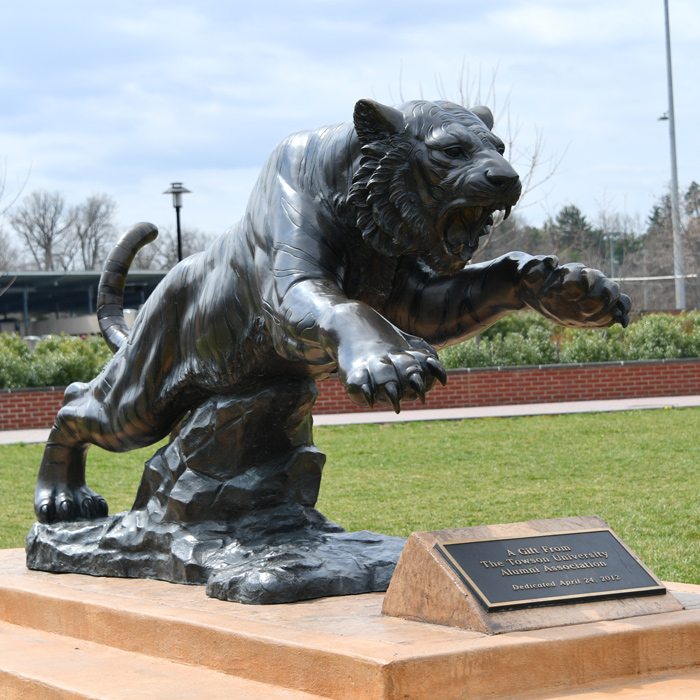 Tiger Statue near Burdick Tiger Statue near Burdick