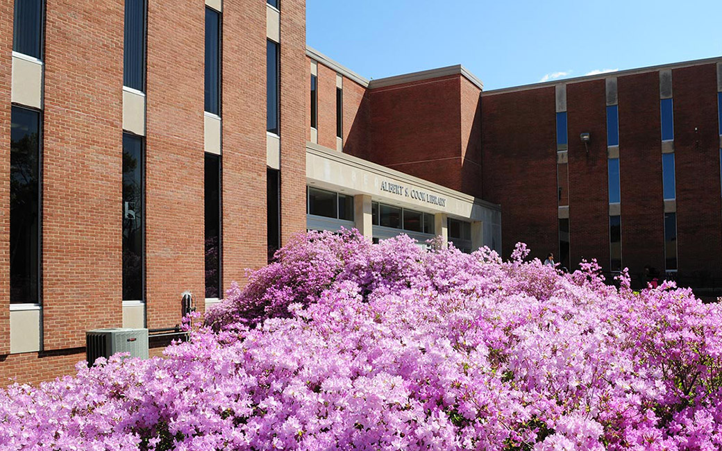 Cook Library