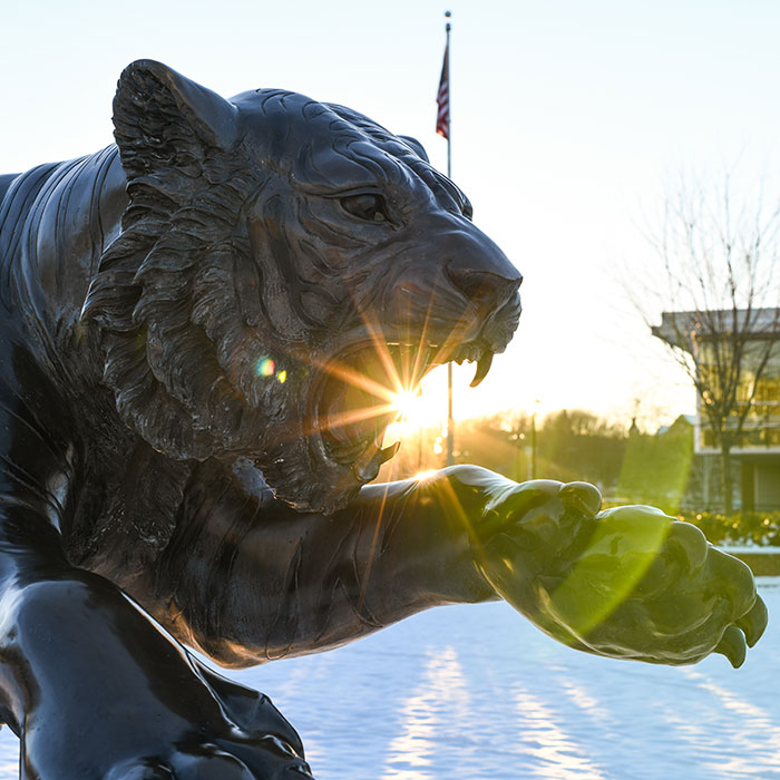 Towson tiger statue