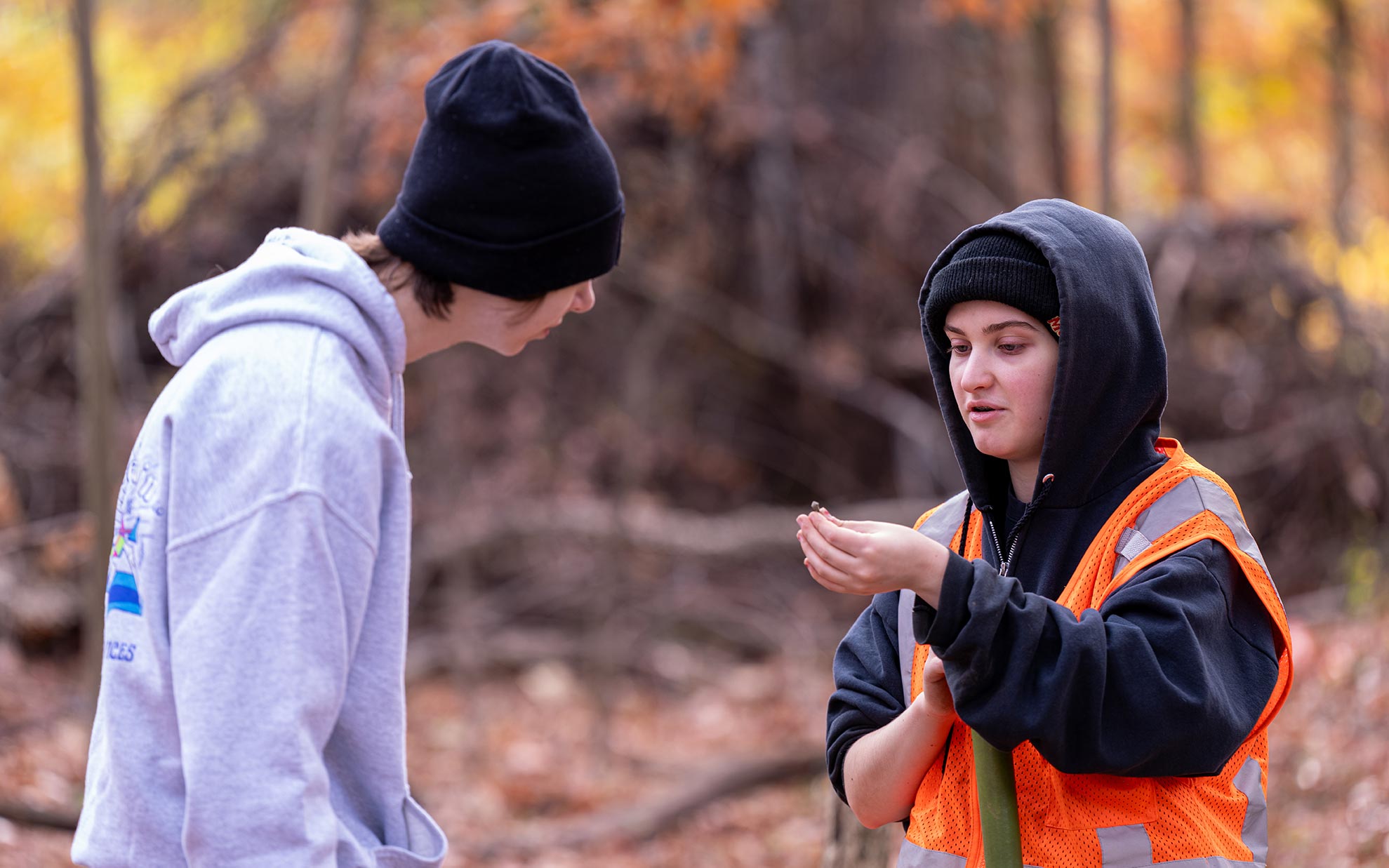 Students examining artifacts