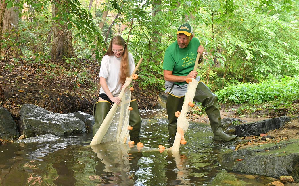 Professor Jay Nelson and Maggie Saunders use a seine net to find fish in streams.