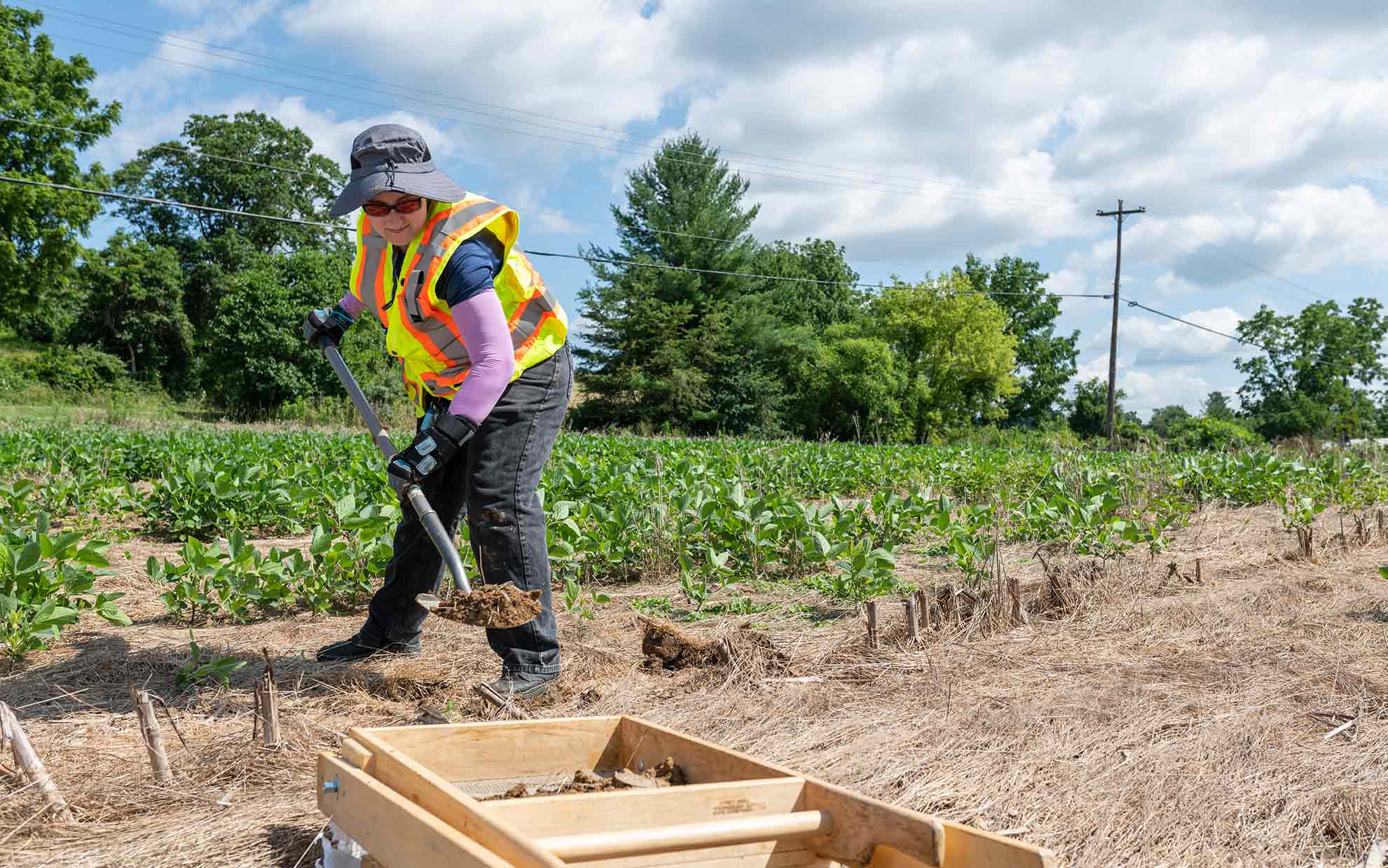 Student excavating a shovel test