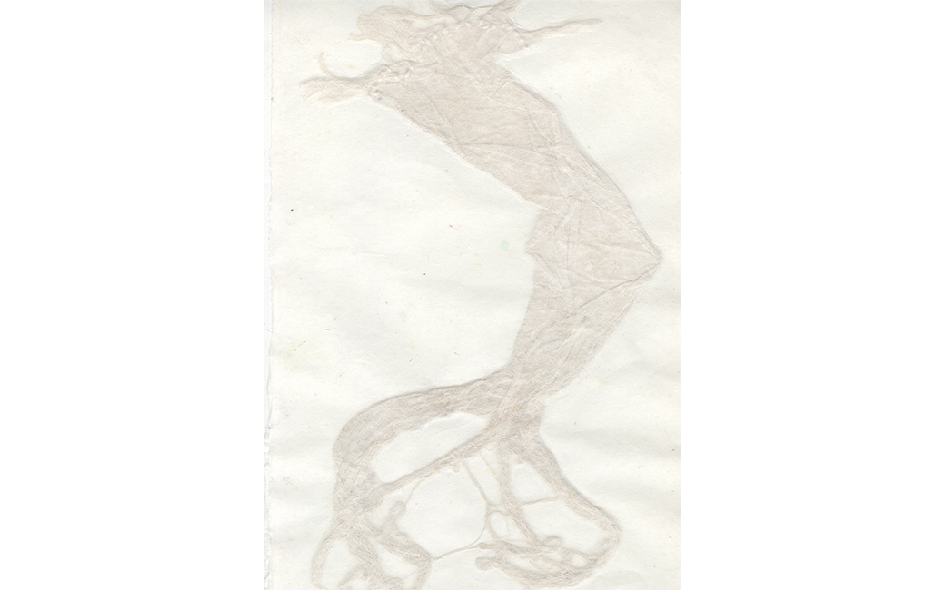 "Waterleaf Study III" by Mary Champagne