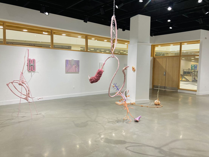 Installation View Image