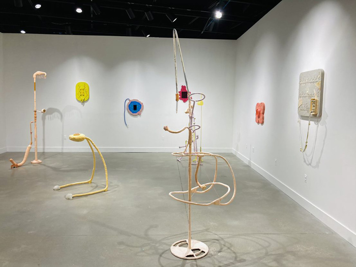 Installation View Image
