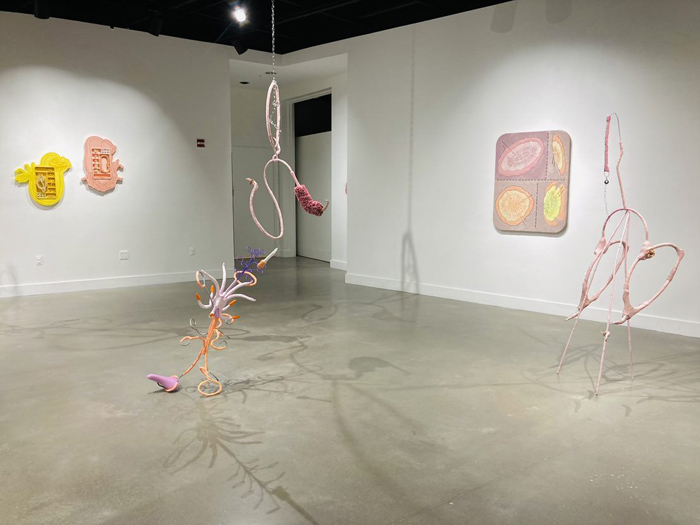 Installation View Image