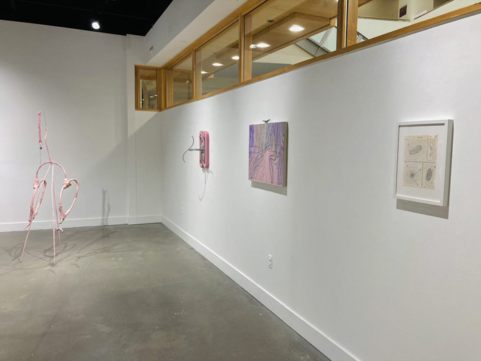 Installation View Image
