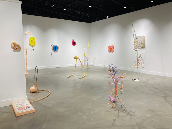 Installation View Image
