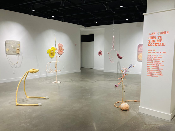 Installation View Image