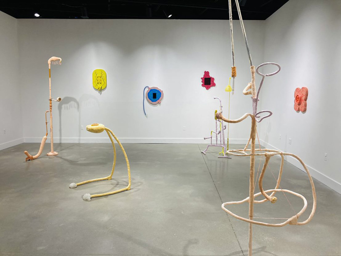 Installation View Image
