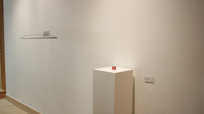 Installation View Image