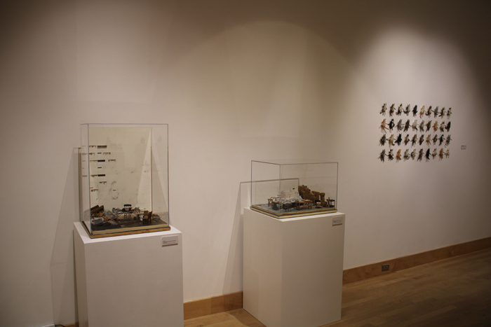 Installation View Image