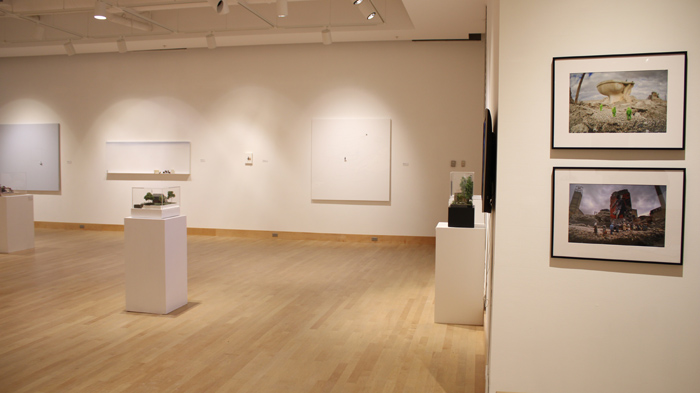 Installation View Image