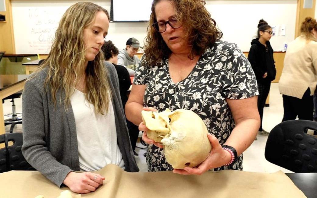 osher students inspect human skull