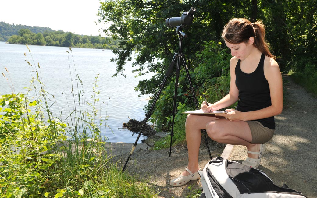 student working on river at box turtle research project