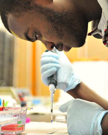 Working in the lab