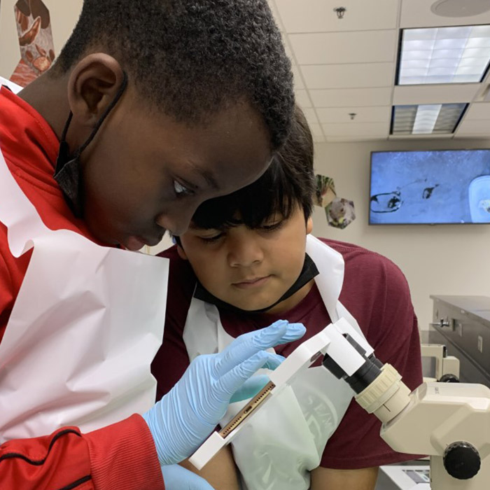 boy looking in microscope