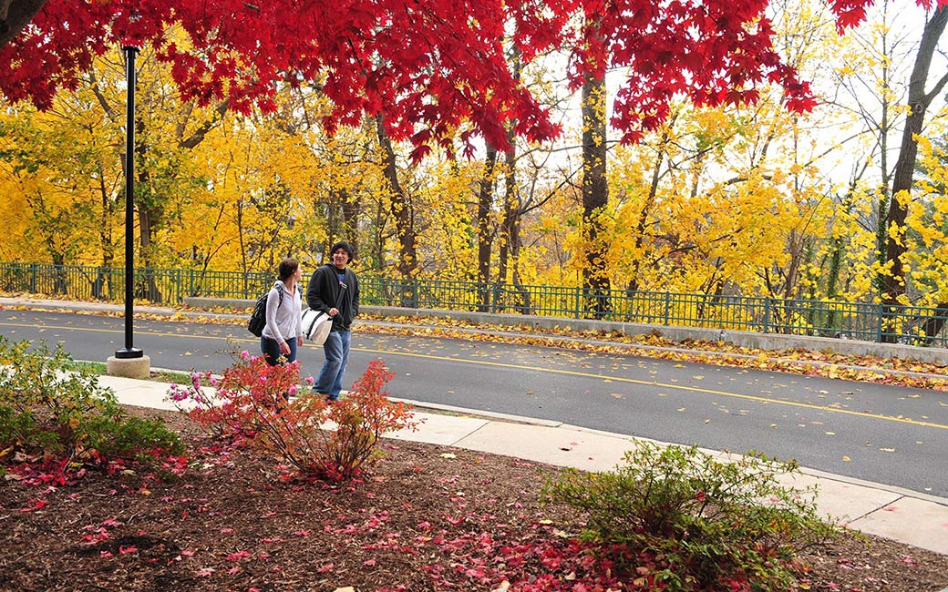 TU earns high marks in recent rankings