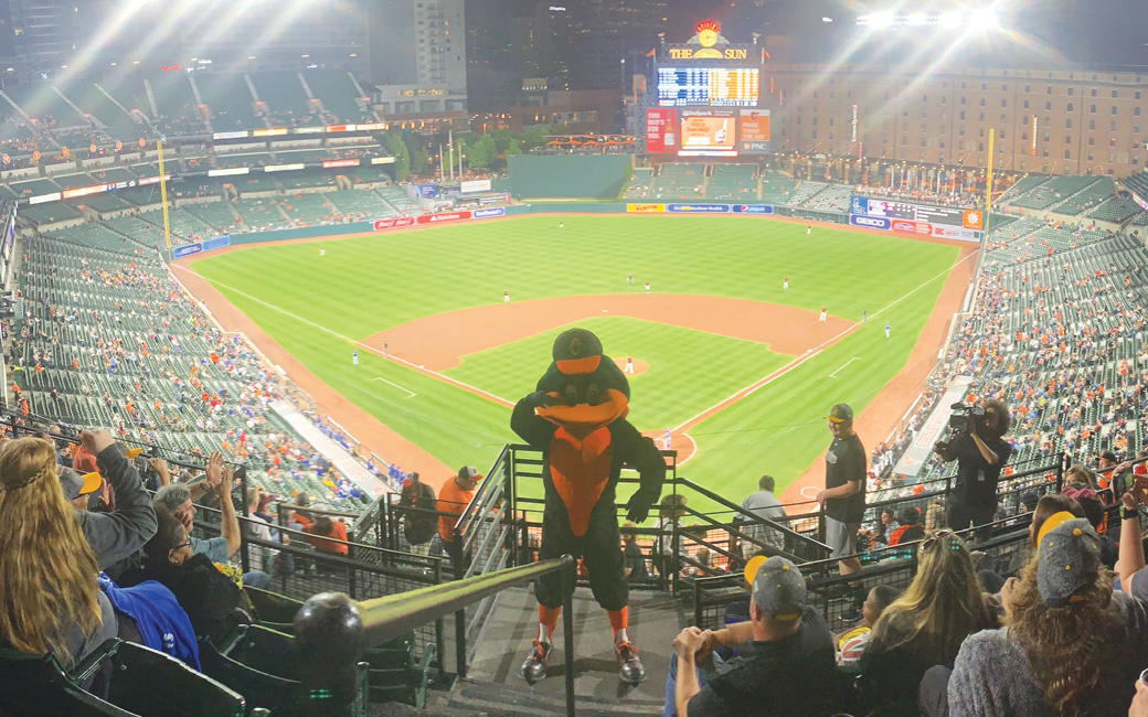 The Oriole Bird at Camden Yards