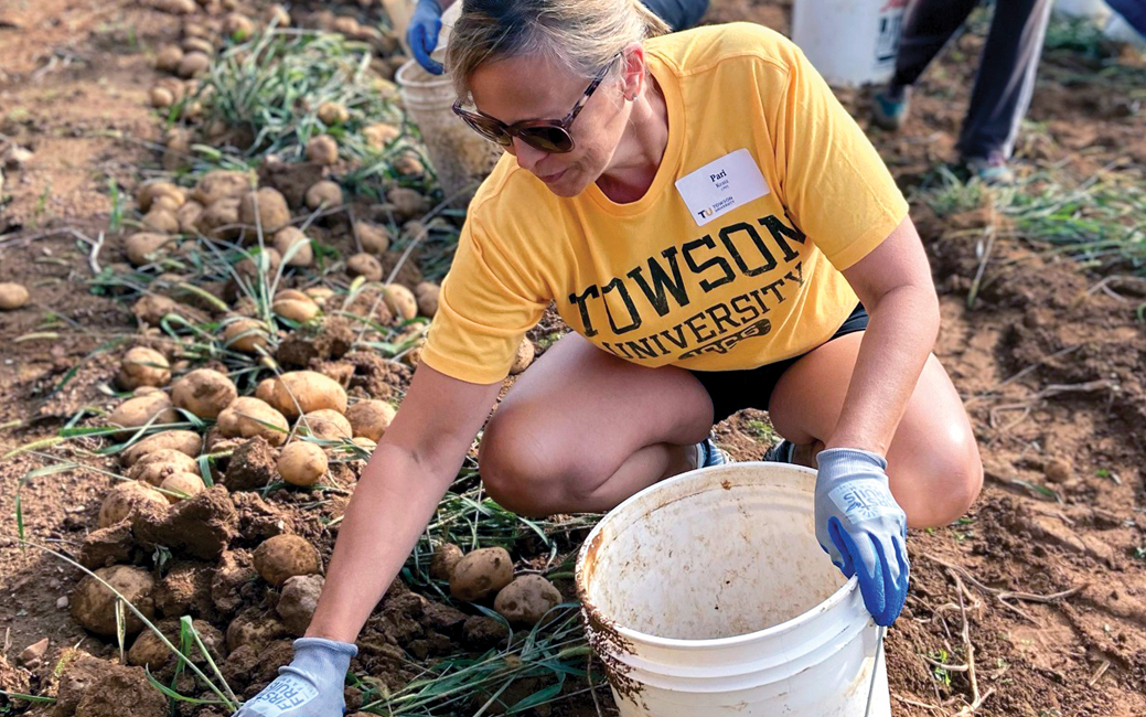 Pari Kratz in a yellow Towson University t-shirt pulling vegetables from the ground
