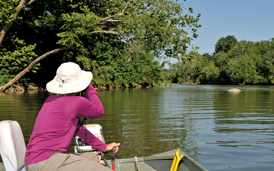 a person sitting on a boat observing a turtle basking platform on a river