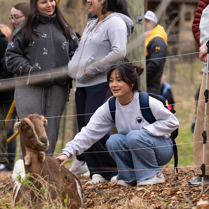 A student pets one of the goats during TU's Arbor Day Celebration 