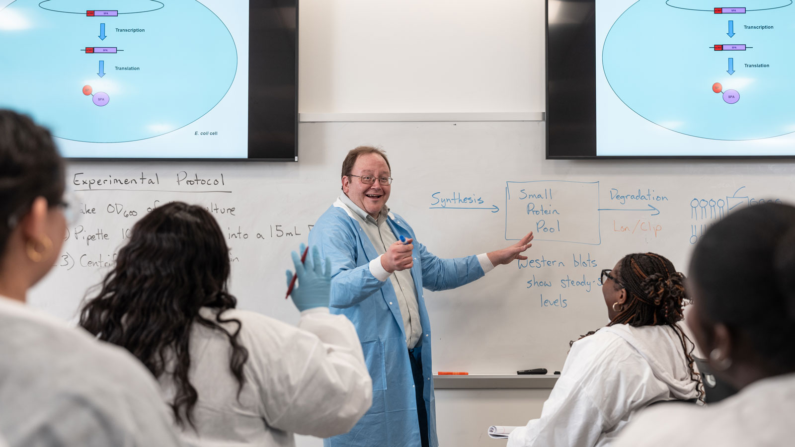 Dr. Hemm discussing protein synthesis with students