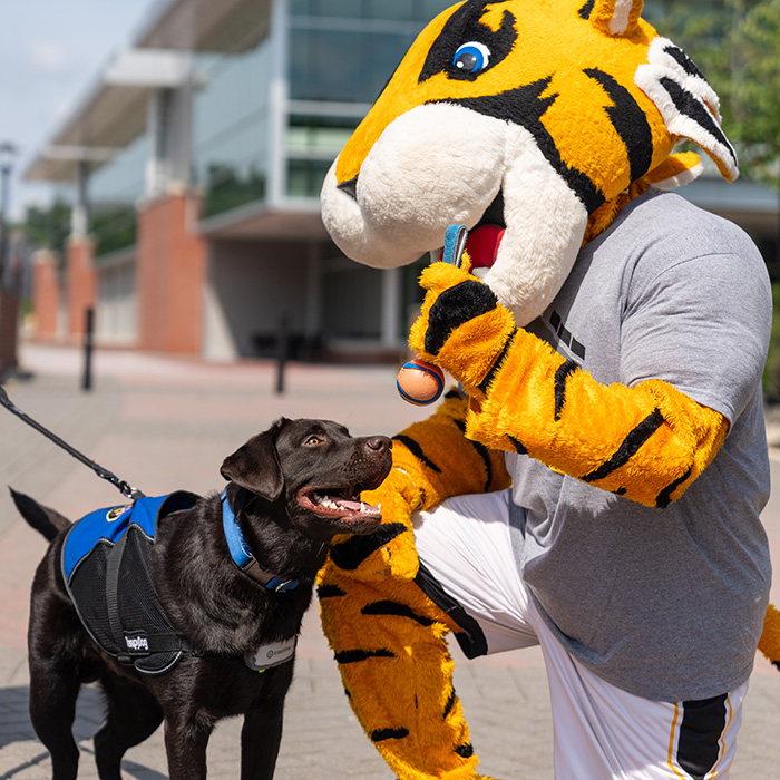 Bruno with Doc