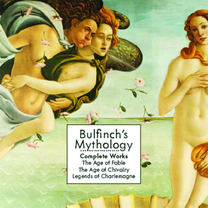 The Bishop and the Butterfly book cover