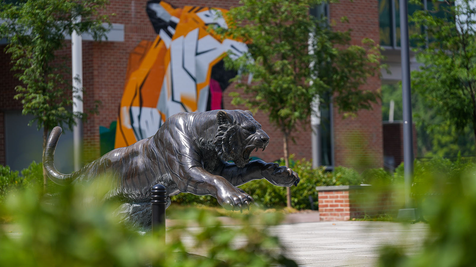 TU tiger statue and tiger mural