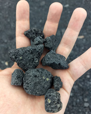 David Hislop with rocks he's found in Hawaii's Kaʻū Desert 