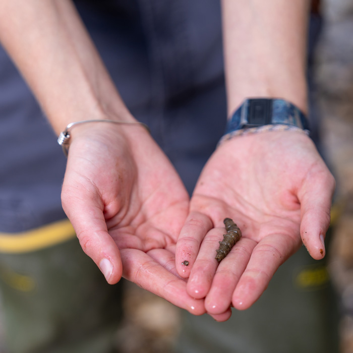 Delaney Mezan holding a crawfish