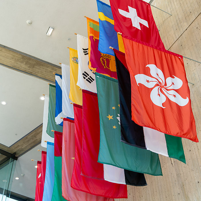 Country flags from around the world hanging up