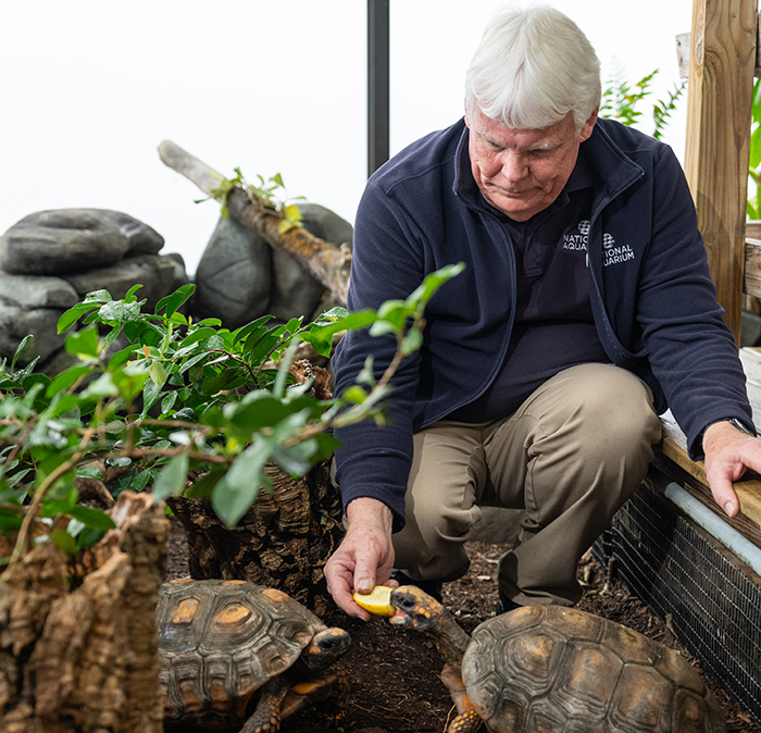 Jack with terrapins.