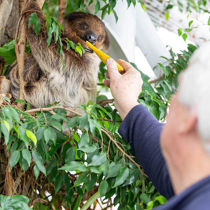 Jack and a sloth.