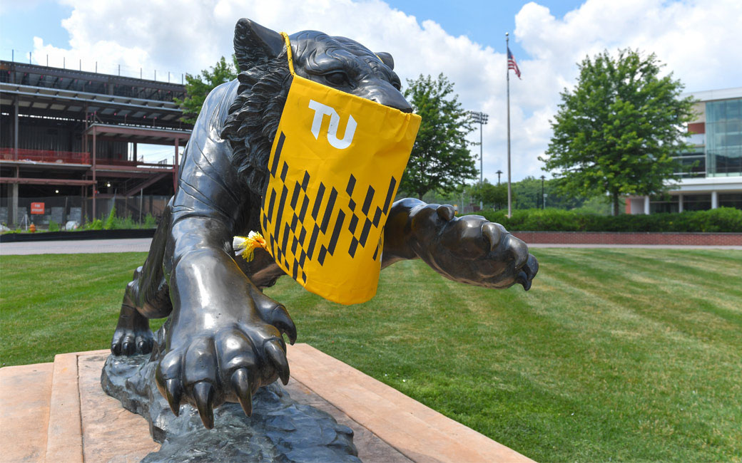 Towson Tiger with a mask