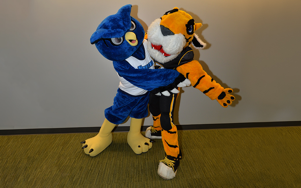Owl-Tiger