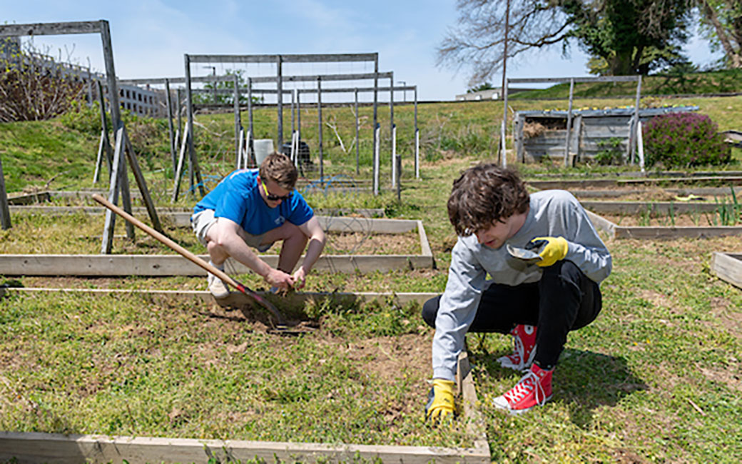 Students prepping garden bed for planting at TU Urban Farm.