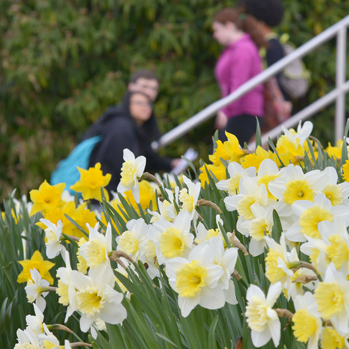 Flowers on campus